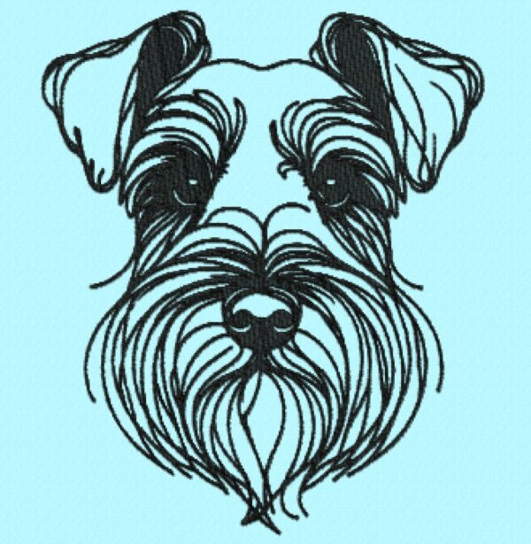 Schnauzer Lili