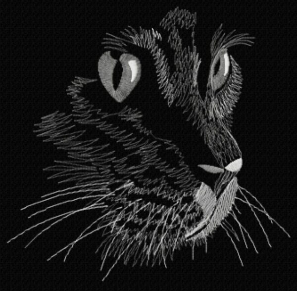 Mačka