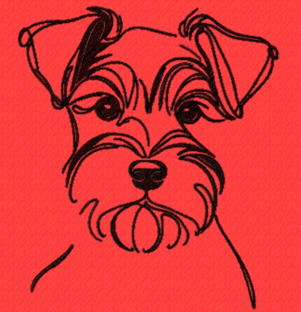 Schnauzer puppy