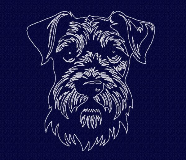 Schnauzer - Image 7