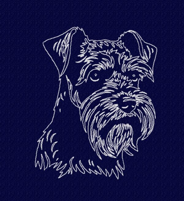 Schnauzer - Image 5