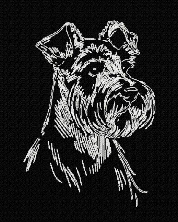 Schnauzer