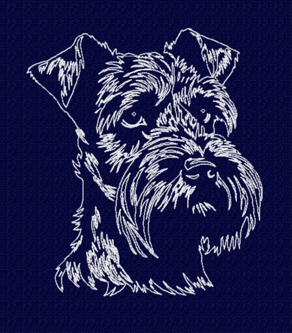 Schnauzer - Image 21