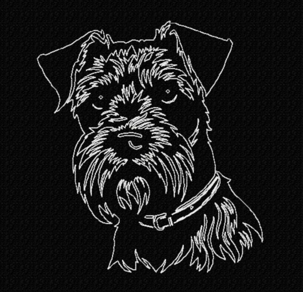 Schnauzer - Image 17